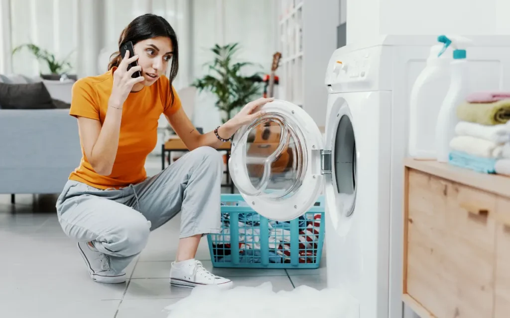 Noise Levels : Bosch vs IFB washing machine